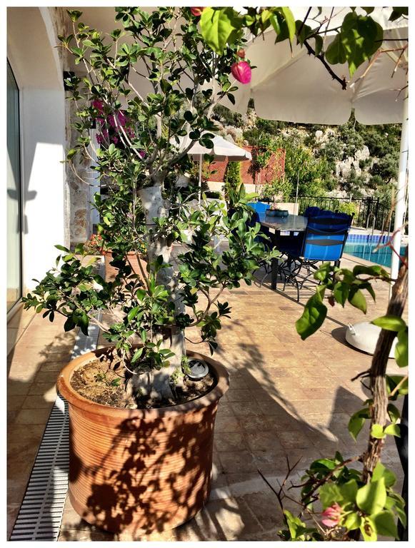 Villa Valo カルカン 部屋 写真